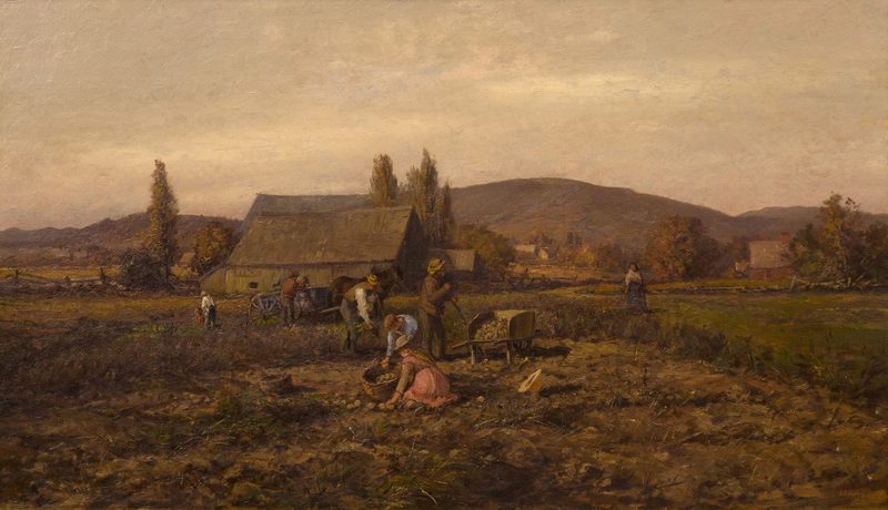 Farm workers digging potatoes in a field, with a farmhouse and barn beyond