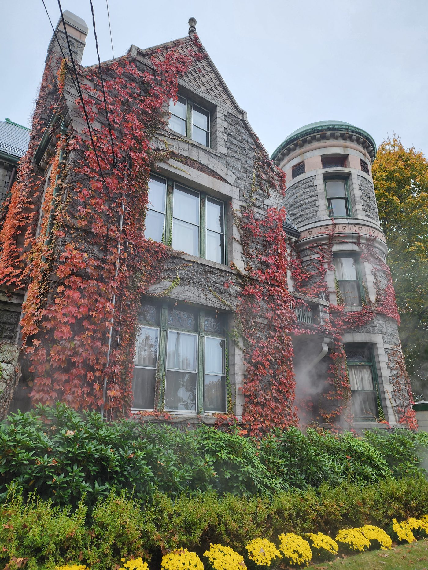 The tower with ivy turning red in autumn