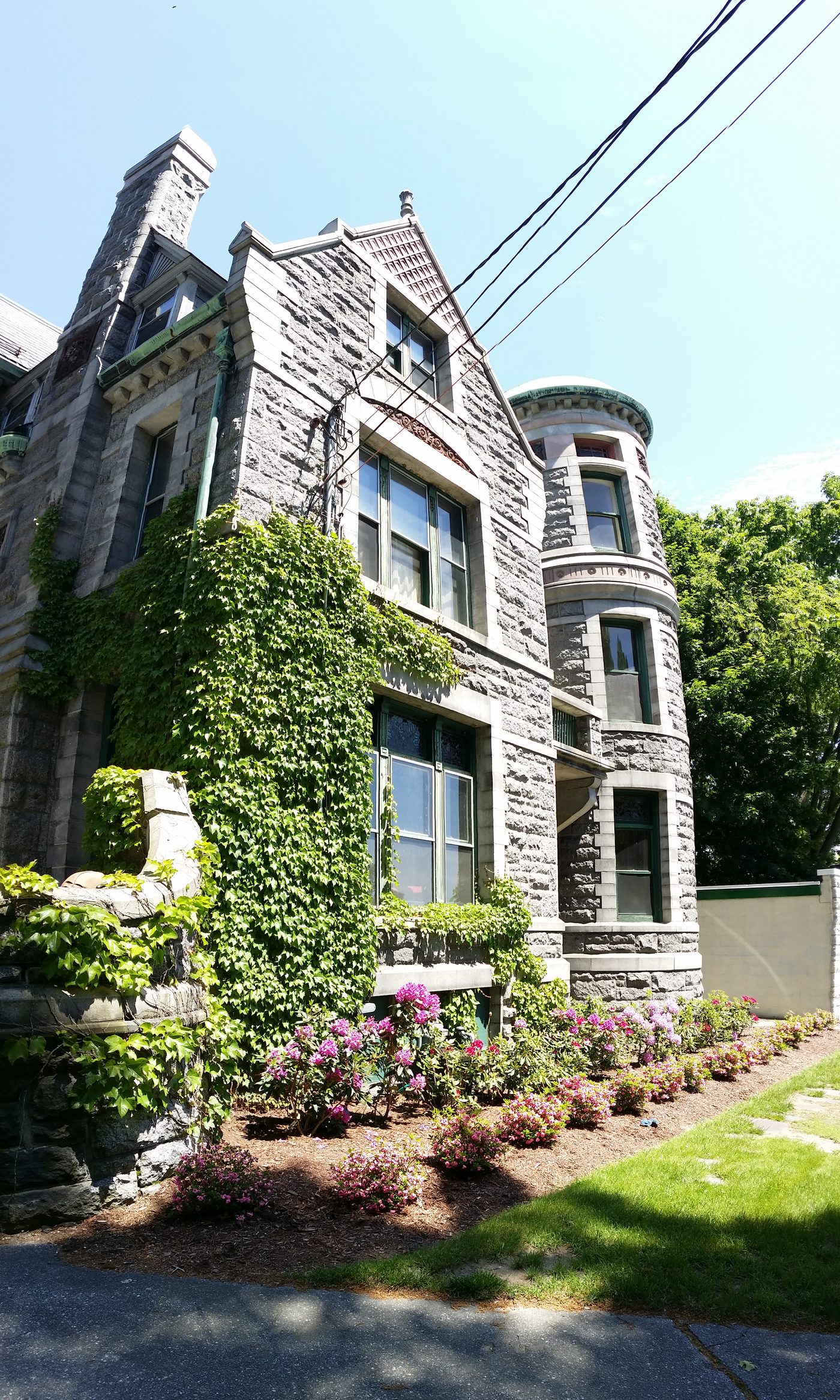 The ivy-covered tower in summer