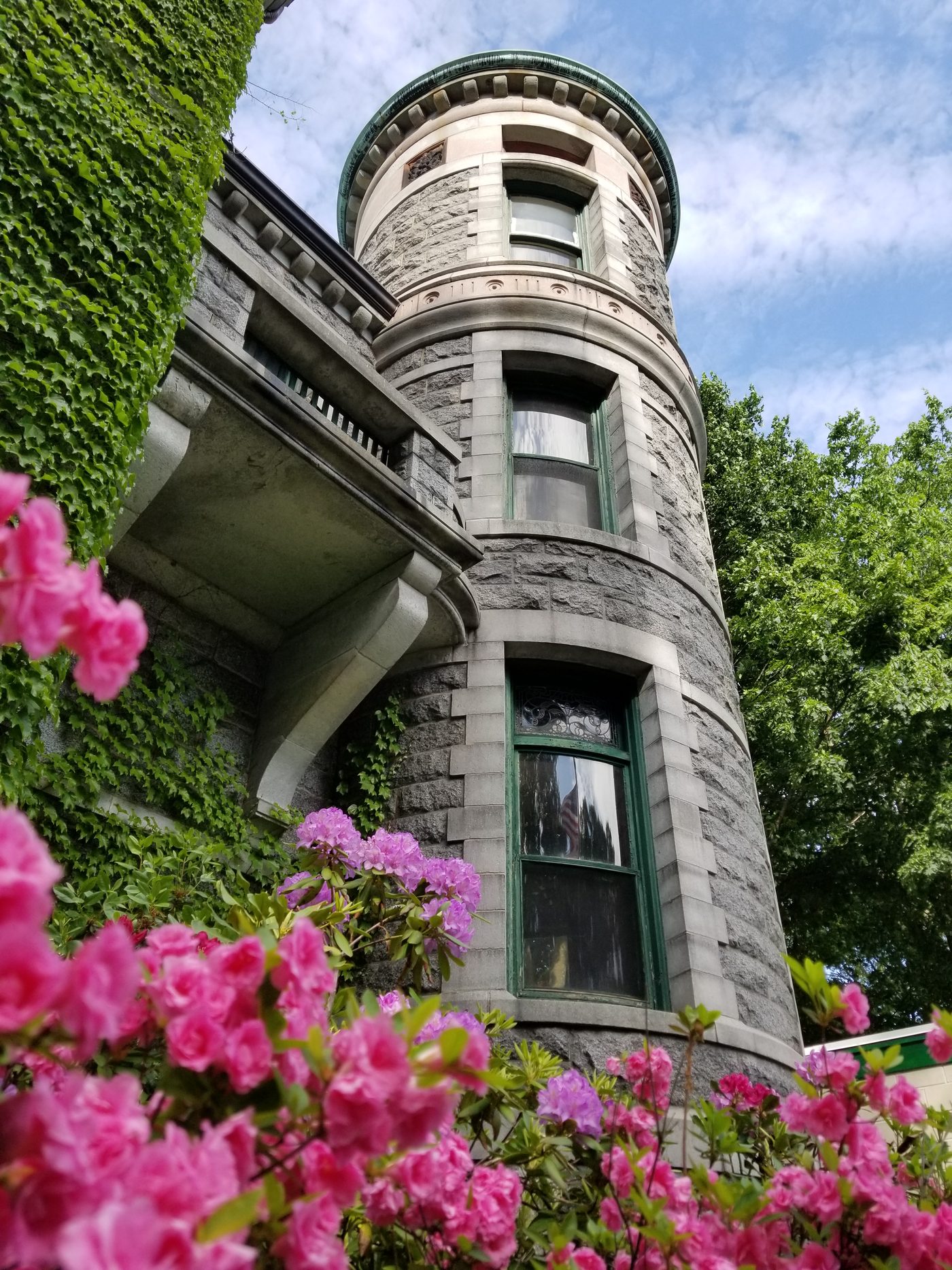 The tower with climbing roses and ivy