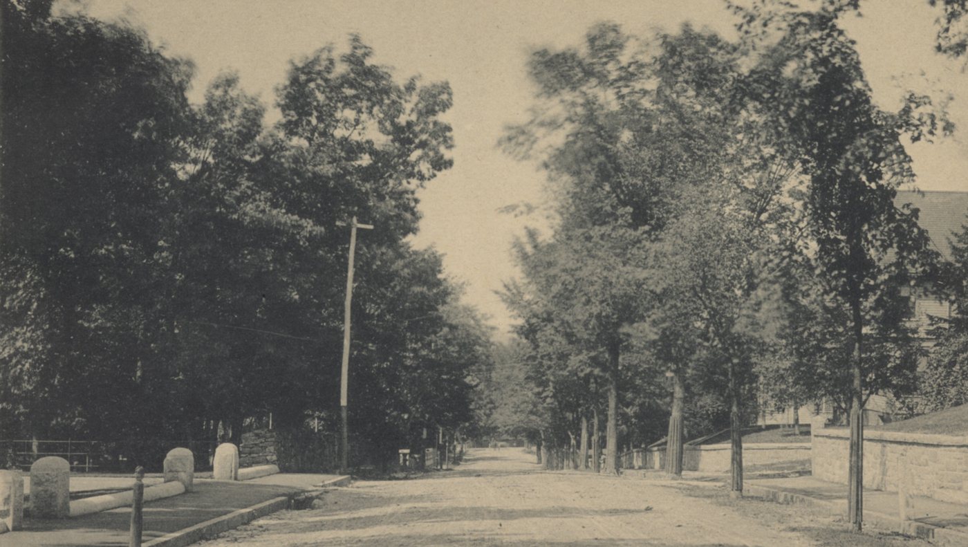 A broad unpaved residential street lined with tall shade trees, a utility pole at the left and stone posts at the curb