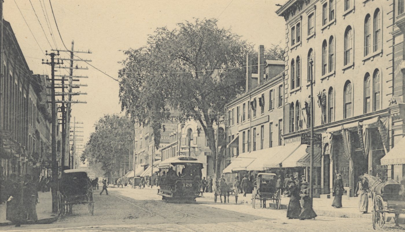 A busy street with a streetcar, carriages and pedestrians, under trees and utility poles