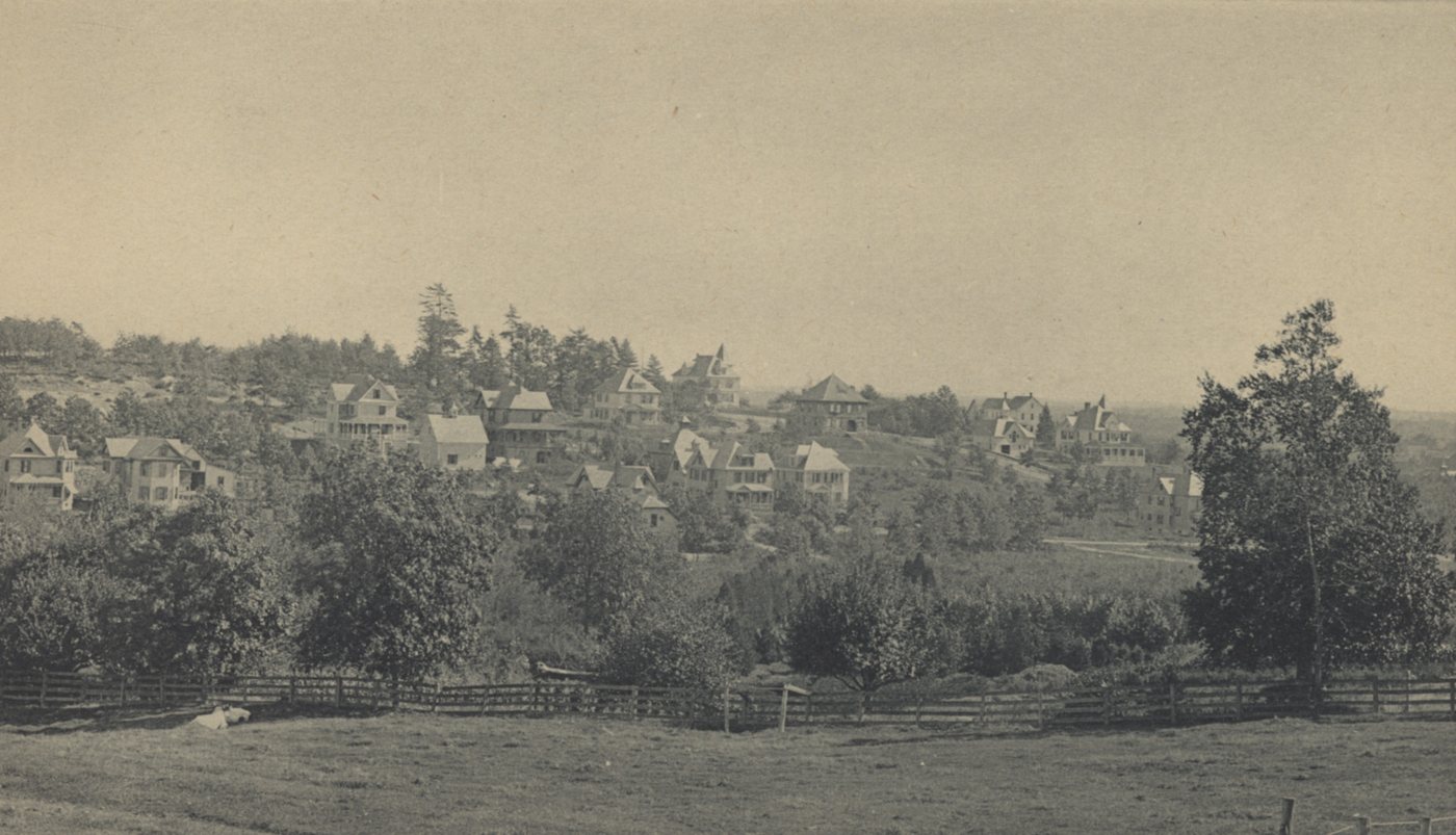 View over a meadow and trees toward a hillside of houses