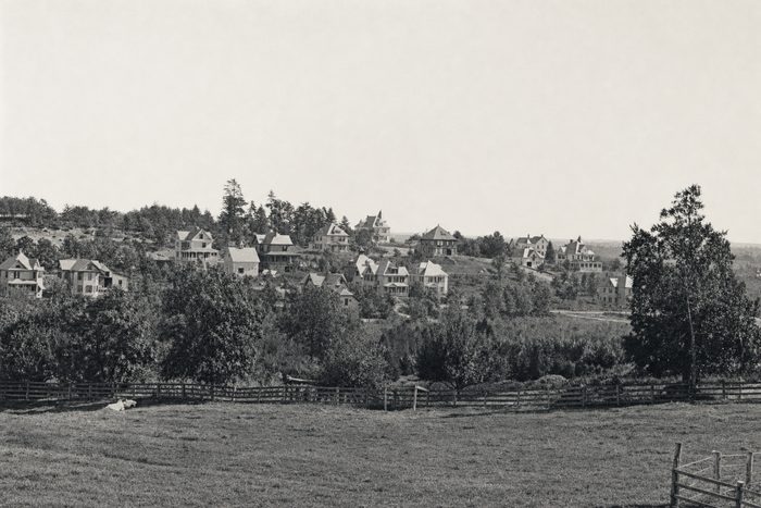 View over a meadow and trees toward a hillside of houses