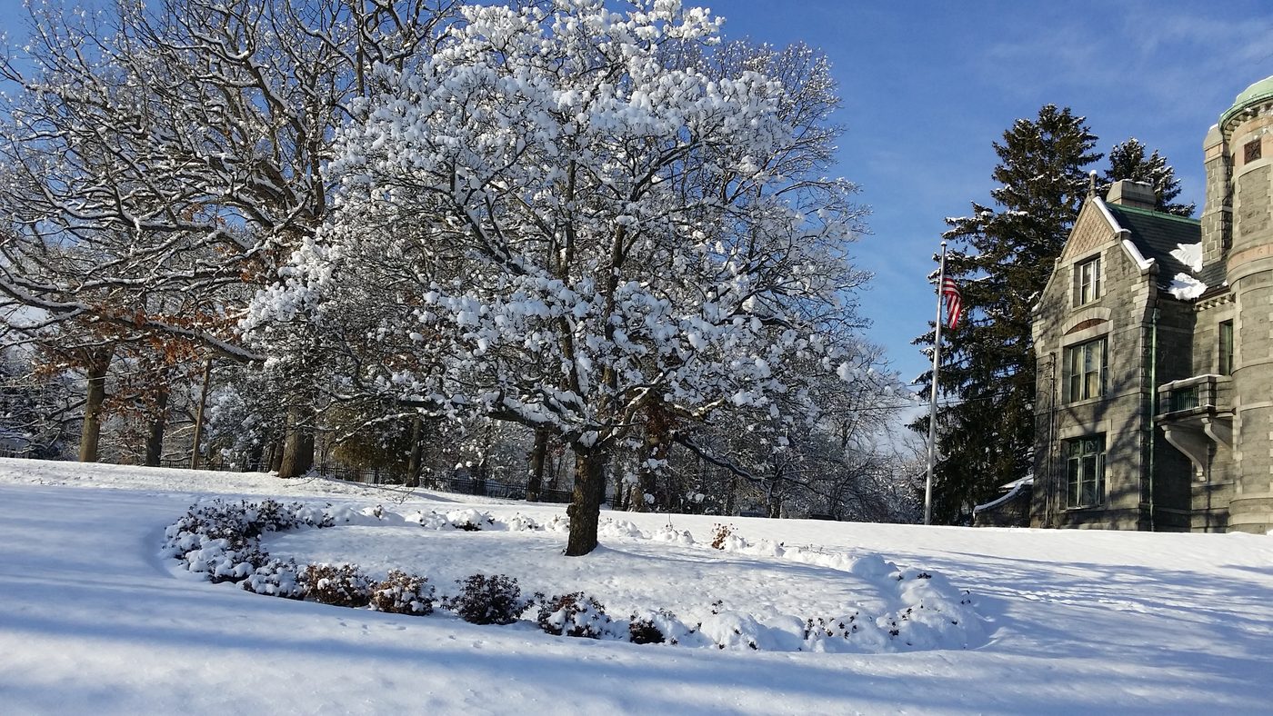 A snow-laden tree with the house behind